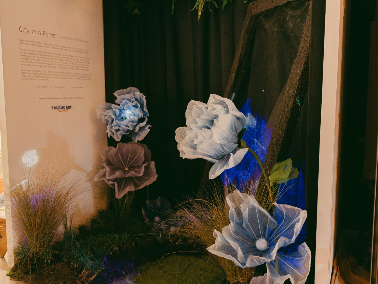 The installation: towering blue and violet paper flowers rising from a moss floor, a dark Pepper's Ghost mirror, and the wall text panel.